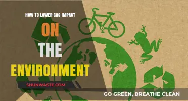 Reduce Your Carbon Footprint: Eco-Friendly Tips to Lower Gas Impact