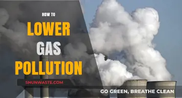 Reducing Gas Pollution: Strategies for a Cleaner Environment