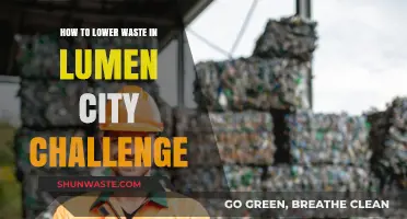 Sustainable Strategies to Reduce Waste in the Lumen City Challenge