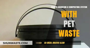 Eco-Friendly Pet Waste Composting: Tips for a Healthy System