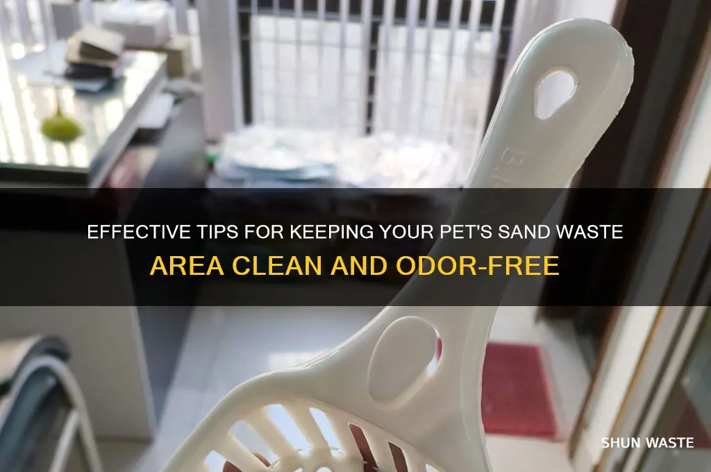 how to maintain pet sand waste area