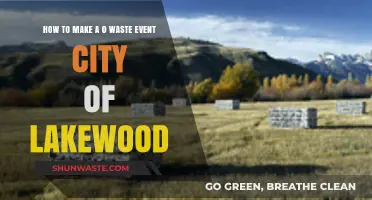 Sustainable Celebrations: Creating Zero Waste Events in Lakewood City