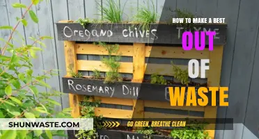 Creative Ways to Transform Waste into Valuable Treasures