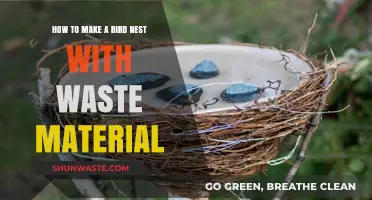 Crafting Eco-Friendly Bird Nests: Upcycling Waste for Feathered Friends