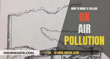 Creating a Collage to Raise Awareness About Air Pollution