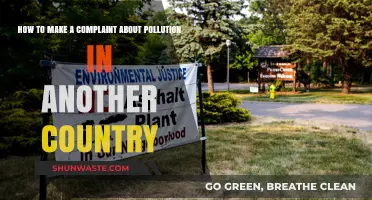 Fight Global Pollution: Your Guide to Action