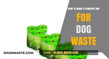Eco-Friendly Pet Care: DIY Compost Bin for Dog Waste