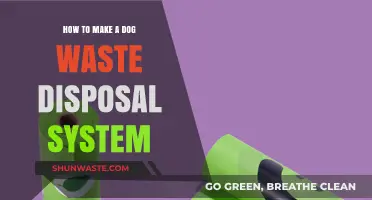 Eco-Friendly Dog Waste Disposal: A Step-by-Step Guide
