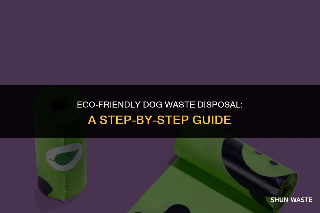 how to make a dog waste disposal system