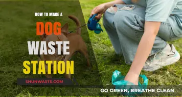 DIY Dog Waste Station: Easy Steps for a Cleaner Community