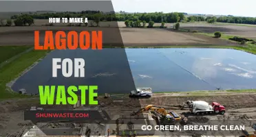 Creating Eco-Friendly Lagoons for Effective Waste Management Solutions