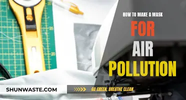 Protect Yourself: Make Your Own Air Pollution Mask
