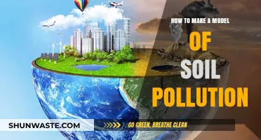Creating a Soil Pollution Model: DIY Guide