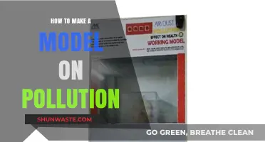 Creating Pollution Models: A Step-by-Step Guide
