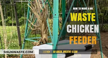 Eco-Friendly Chicken Feeding: Crafting a Zero-Waste Feeder at Home