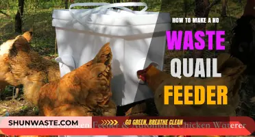 Eco-Friendly Quail Feeding: Craft a Zero-Waste Feeder Easily