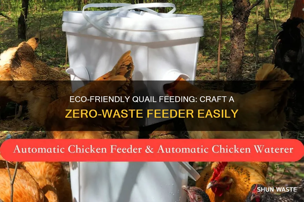 how to make a no waste quail feeder