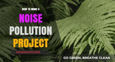 Creating a Noise Pollution Project: A Step-by-Step Guide