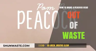Crafting a Stunning Peacock Head Using Recycled Waste Materials