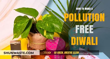Green Diwali: Celebrating a Pollution-Free Festival of Lights