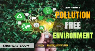 Creating a Green, Pollution-Free Environment