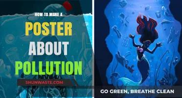 Designing Posters to Raise Awareness on Pollution