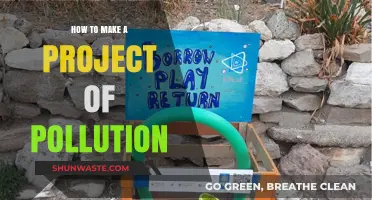 Creating a Pollution Project: A Step-by-Step Guide
