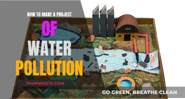 Unveiling the Causes and Solutions: A Comprehensive Guide to Water Pollution Projects