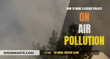 Science Project: Air Pollution, Steps to Success