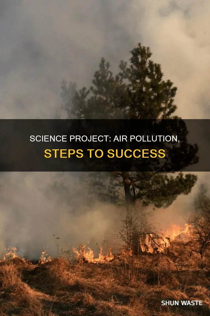 how to make a science project on air pollution