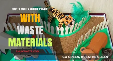 Creative Science Projects: Transforming Waste Materials into Innovative Ideas