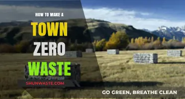 Transforming Towns: A Comprehensive Guide to Achieving Zero Waste Communities