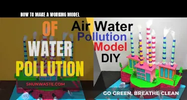 Crafting a Model to Simulate Water Pollution: A Step-by-Step Guide