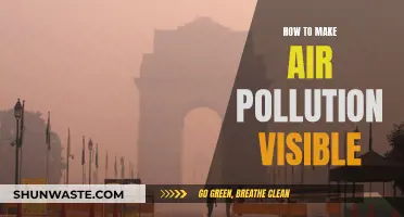 Making the Invisible Visible: Air Pollution Unveiled