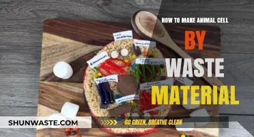 Crafting Animal Cells: Creative Recycling with Everyday Waste Materials