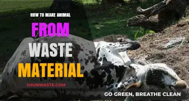 Creative Recycling: Crafting Adorable Animals from Everyday Waste Materials
