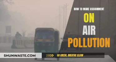 Air Pollution Assignments: Strategies for Success
