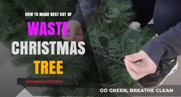Creative Ways to Repurpose Your Christmas Tree After the Holidays