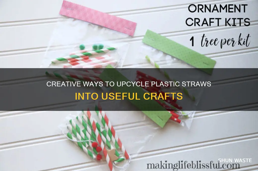 how to make best out of waste from straws