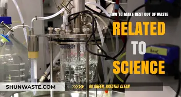 Transforming Trash into Treasure: Innovative Science-Based Waste Upcycling Ideas