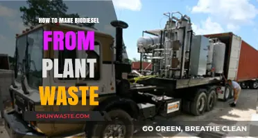 Transform Plant Waste into Biodiesel: A Sustainable DIY Guide