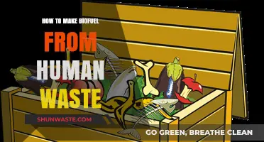 Turning Human Waste into Biofuel: A Sustainable Energy Solution