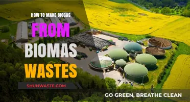 Transforming Biomass Wastes into Biogas: A Sustainable Energy Solution