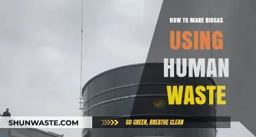 Transforming Human Waste into Clean Energy: A Biogas Production Guide