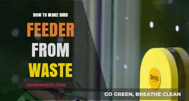 Eco-Friendly Bird Feeder: Crafting from Waste Materials Easily