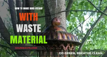 Eco-Friendly Bird Feeder: Crafting with Upcycled Waste Materials