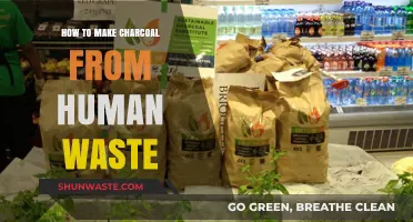 Transforming Human Waste into Charcoal: A Sustainable Sanitation Solution