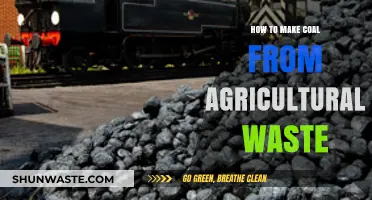 Transforming Agricultural Waste into Coal: A Sustainable Energy Solution