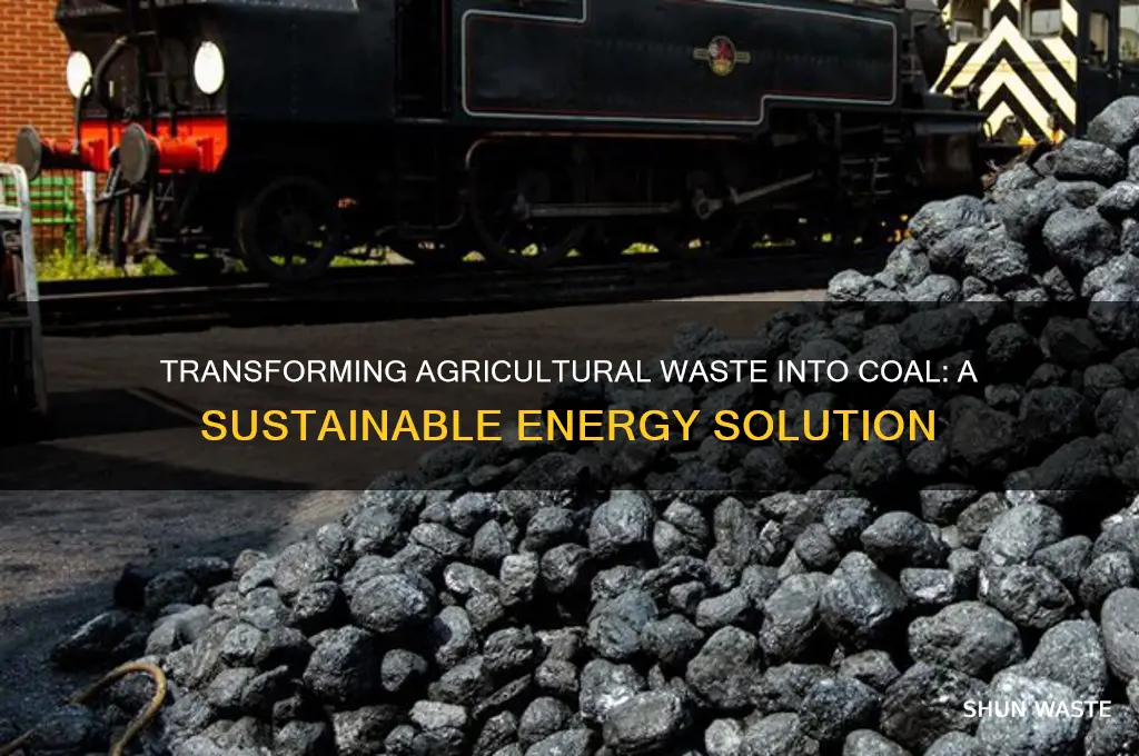 how to make coal from agricultural waste