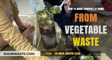 Transform Vegetable Scraps into Nutrient-Rich Compost at Home Easily